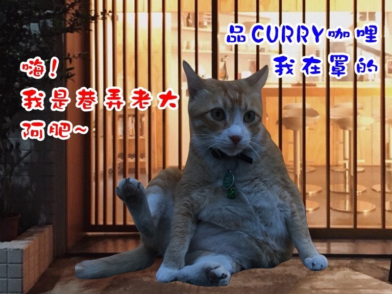 巷弄老大-阿肥登場：品CURRY咖哩我在罩的!